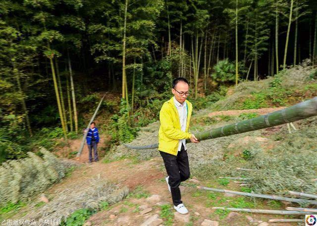 逆境重生，90后男子负债百万回大山砍竹子的奋斗之路