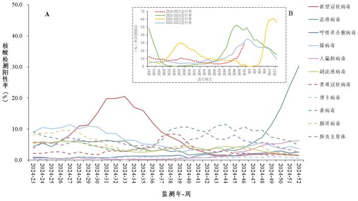 当前流感病毒阳性率低于去年同期，防控形势与应对策略分析