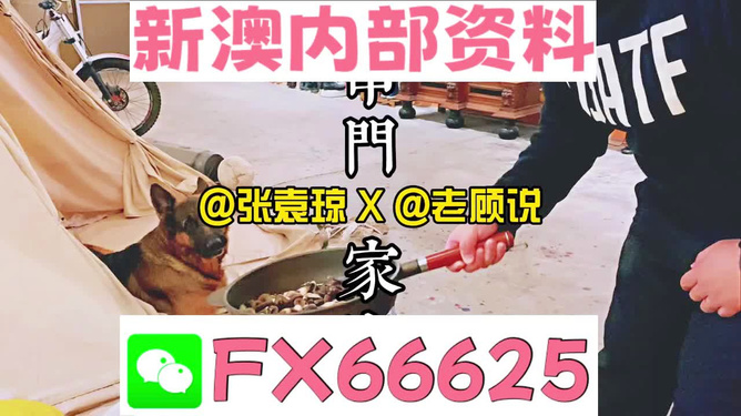 澳门管家婆发掘潜在增长领域,澳门管家婆_{关键词3}