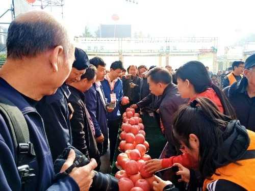 揭秘真相！灵宝到菉泽地铁修建纯属谣言？权威解读事件内幕！