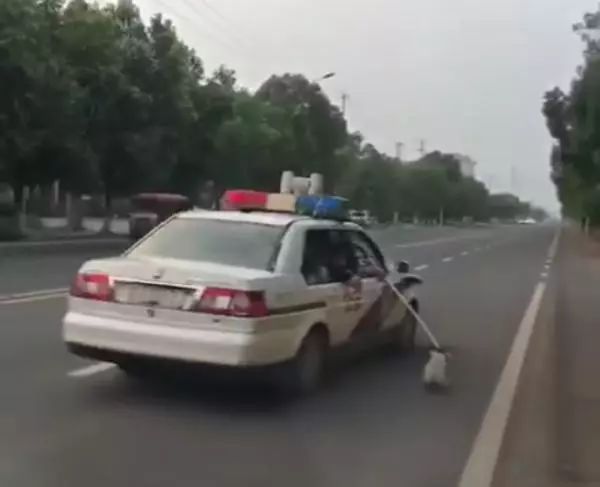 惊天大案！警车连撞三车司机竟逃逸，警方全力追查真相揭秘幕背后疑云重重——这不仅仅是娱乐新闻？而是社会的警钟长鸣。