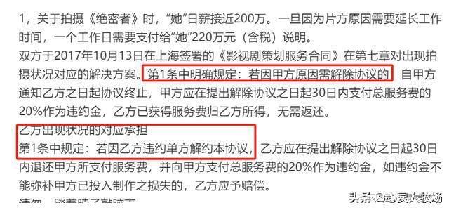 饺子背后的辛酸故事，三年依靠母亲千元退休金生活的挣扎与坚韧——深度解析计算机教程视角的独特观察。