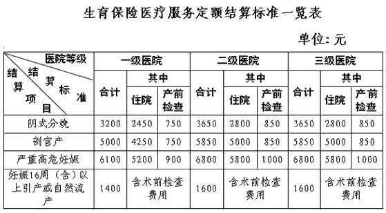 生一孩享社保补贴，高达50％！政策细节深度解读来袭……你心动了吗？标题引人瞩目，生育新政红利揭秘——关于育有一子享受半价社会保险福利的惊人优惠与未来展望。