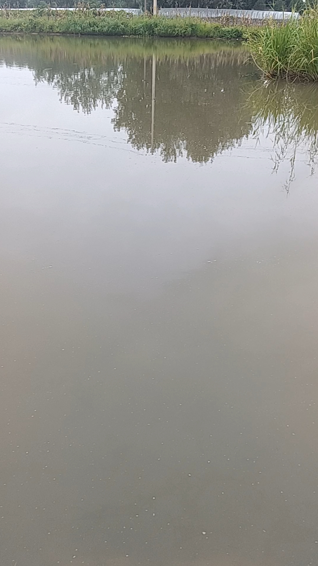 惊魂！鱼塘突现神秘巨坑，万吨鱼水瞬间消失，真相令人不寒而栗！