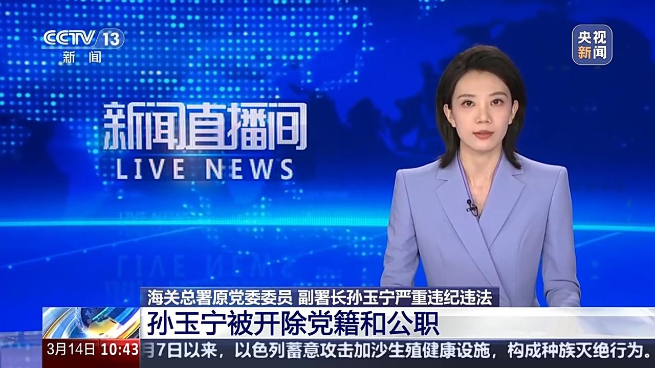 震惊！海关总署原副署长孙玉宁被双开，背后竟隐藏如此惊天黑幕！